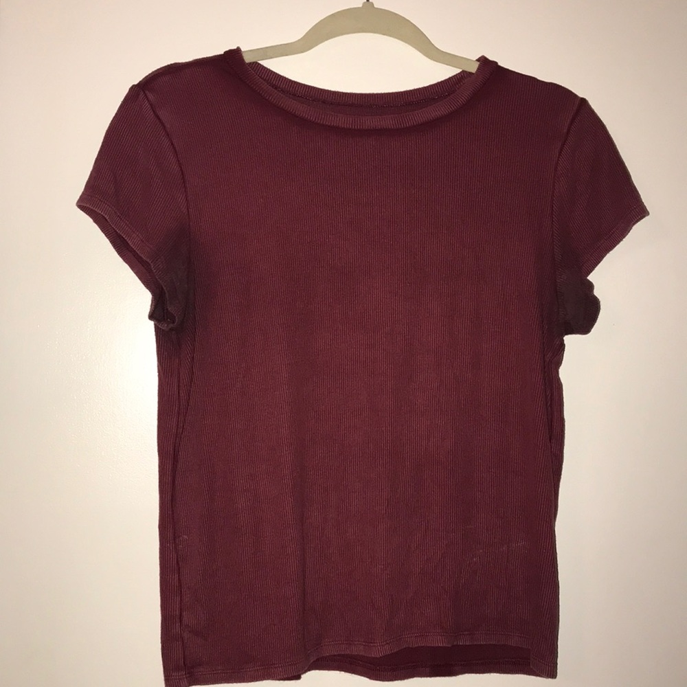 2 for 1 Soft & Sexy ribbed mauve and blue shirts